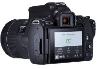 Aparat foto DSLR Canon EOS 250D + EF-S 18-55mm F4-5.6 IS STM