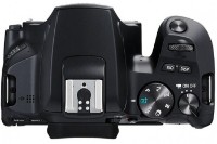 Фотоаппарат Canon EOS 250D + EF-S 18-55mm F4-5.6 IS STM фото №4 — интернет-магазин Desire.md