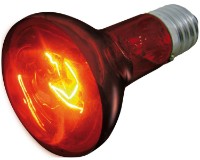 Bec infraroșu Flamingo Infrared Spot Beam 75W (405734)