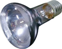 Bec Flamingo Daylight Spot Beam 75W (405737)