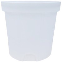 Cada pentru vin Vatavu Grup 1000L White imaginea #1 — magazin online Desire.md