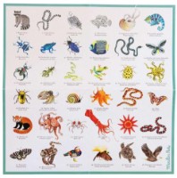 Joc educativ de masa Moulin Roty MR719364 imaginea #2 — magazin online Desire.md