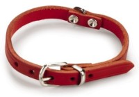 Zgardă Beeztees Red (735302)