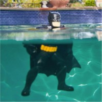 Figura Eroului Spin Master Swimways Batman Float Char (6067008) imaginea #2 — magazin online Desire.md