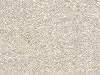 Обои Monte Solaro 9194-03 Fern фото №1 — интернет-магазин Desire.md