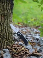 Нож Ganzo FB727S-BK фото №10 — интернет-магазин Desire.md