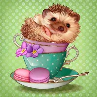 Алмазная картина по номерам ChiToys KEK1103249 фото №1 — интернет-магазин Desire.md