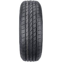 Шина Tracmax Ice-Plus S220 215/70 R16 100H фото №2 — интернет-магазин Desire.md