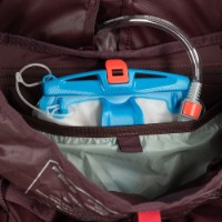 Рюкзак Osprey Kyte 58L M/L Elderberry Purple фото №6 — интернет-магазин Desire.md