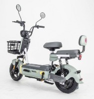 Электроскутер Autolyalya Garow Green Grey 249w фото №2 — интернет-магазин Desire.md