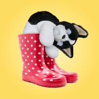 Jucărie de pluș My Fuzzy Friends 18537S imaginea #7 — magazin online Desire.md