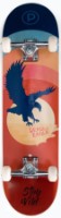 Скейтборд Playlife Deadly Eagle 880310 фото №2 — интернет-магазин Desire.md