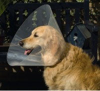 Guler de protecție Beeztees Veterinary Collar (796005)