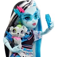 Кукла Mattel Monster High Frankie Stein (HHK53) фото №6 — интернет-магазин Desire.md