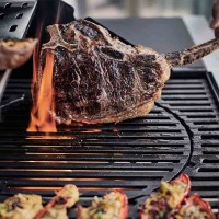 Gratar pe gaz Enders Chicago 3 R Turbo imaginea #6 — magazin online Desire.md