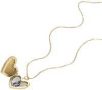 Colier Fossil JF04430710 imaginea #3 — magazin online Desire.md