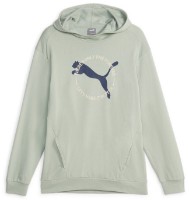 Мужская толстовка Puma Better Sportswear Hoodie Tr Green Fog S (67606454)