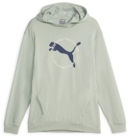 Мужская толстовка Puma Better Sportswear Hoodie Tr Green Fog XXL (67606454) фото №1 — интернет-магазин Desire.md