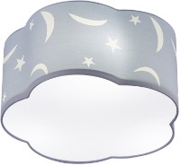 Потолочный светильник Trio 602300345