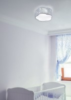 Потолочный светильник Trio 602300345 фото №2 — интернет-магазин Desire.md