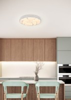 Corp de iluminat LED cu telecomandă Trio Astro (R64171031) imaginea #2 — magazin online Desire.md