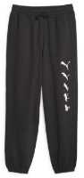 Мужские спортивные штаны Puma X Ripndip Sweatpants Tr Puma Black XS фото №1 — интернет-магазин Desire.md