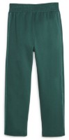 Женские спортивные штаны Puma T7 High Waist Pants Malachite L фото №2 — интернет-магазин Desire.md
