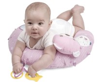 Cuib pentru bebelúș Chicco My first birdhouse Pink 98281 imaginea #4 — magazin online Desire.md