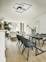 Потолочный светильник Trio 676210442 фото №2 — интернет-магазин Desire.md