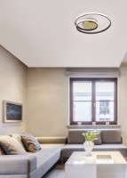 Потолочный светильник Trio R62911124 фото №2 — интернет-магазин Desire.md