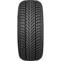 Шина Goodyear UltraGrip Performance 3 225/55 R17 101V XL фото №2 — интернет-магазин Desire.md