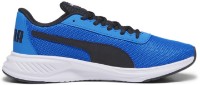 Кроссовки мужские Puma Night Runner V2 Ultra Blue/Puma Black 44 фото №3 — интернет-магазин Desire.md