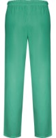 Медицинские брюки Roly Care 9087 Lab Green M