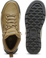Ботинки мужские Puma Tarrenz Sb III Toasted/Shadow Gray/Puma Gold 40.5 фото №4 — интернет-магазин Desire.md