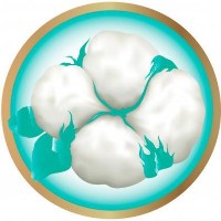 Подгузники-трусики Predo Baby Junior 11-25kg 5/32pcs фото №6 — интернет-магазин Desire.md