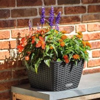 Ghiveci Lechuza Bacino Cottage 30 Mocha imaginea #2 — magazin online Desire.md