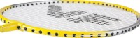 Set pentru badminton Victor VicFun 179500 imaginea #5 — magazin online Desire.md