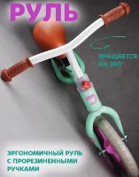 Bicicleta fără pedale 4Play Balance A22 12 Mint imaginea #4 — magazin online Desire.md