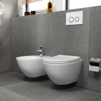 Унитаз QuarterBath Concorde Rimless (114319) фото №3 — интернет-магазин Desire.md
