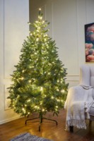 Brad artificial Divi Trees Collection Nordman Led 2.4m imaginea #4 — magazin online Desire.md