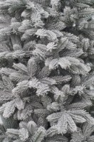 Brad artificial Divi Trees Collection Siberia 2.4m imaginea #5 — magazin online Desire.md