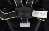 Электрические качели Moni Clarissa Black фото №4 — интернет-магазин Desire.md