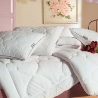 Pernă Othello Nuova 50x70cm imaginea #2 — magazin online Desire.md