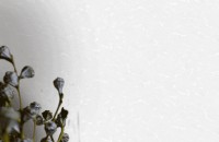 Tapete Ateliero 989141 Alicante imaginea #2 — magazin online Desire.md