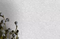 Tapete Ateliero 989147 Alicante imaginea #2 — magazin online Desire.md