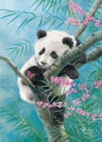 Puzzle Castorland Midi 70 Bamboo Dreams (B-070183) imaginea #1 — magazin online Desire.md