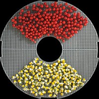 Uscător de legume și fructe Gorenje FDK24DW imaginea #2 — magazin online Desire.md