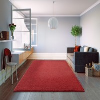 Ковёр Covoare Ungheni Viti 1049_1_68900 0.6x2.3m фото №2 — интернет-магазин Desire.md