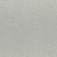 Обои Rasch 920444 Varvara