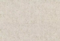 Обои Zambaiti Parati 53021 Murella Moda фото №1 — интернет-магазин Desire.md